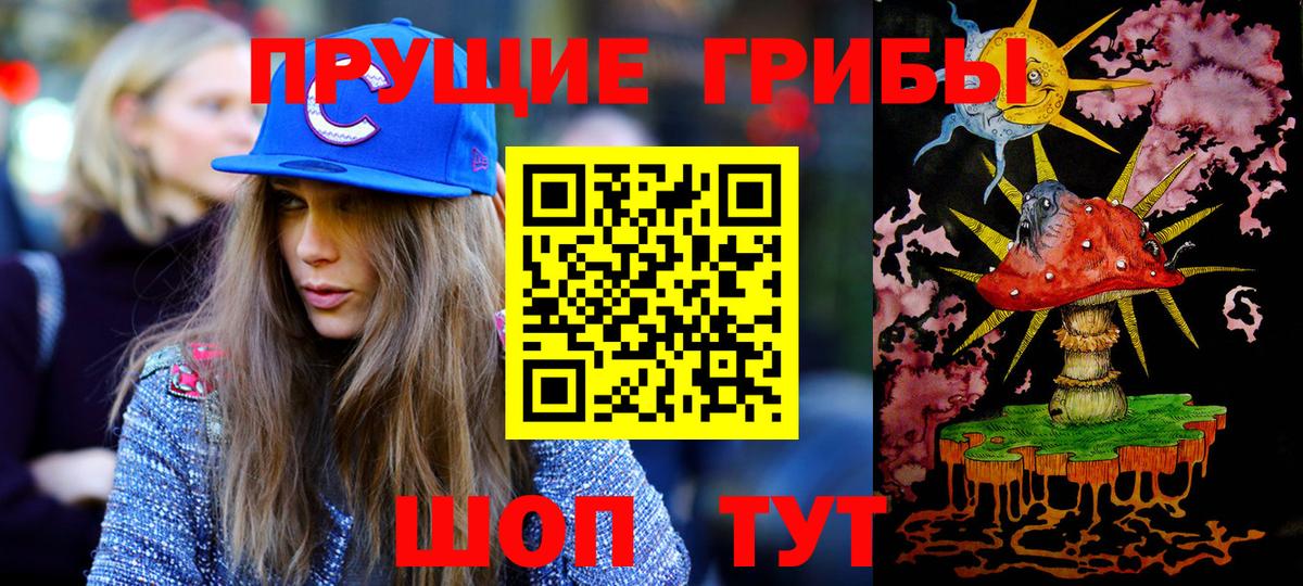 Псилоцибиновые грибы Magic Shrooms  цена   Россия  Псилоцибиновые грибы Magic Shrooms  Вход с VPN 