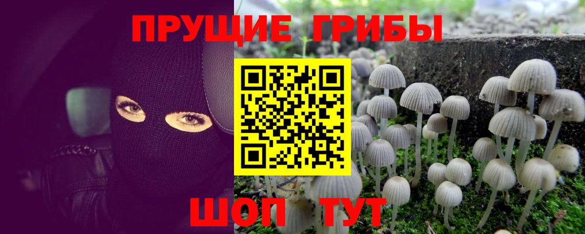 Галлюциногенные грибы мицелий Россия